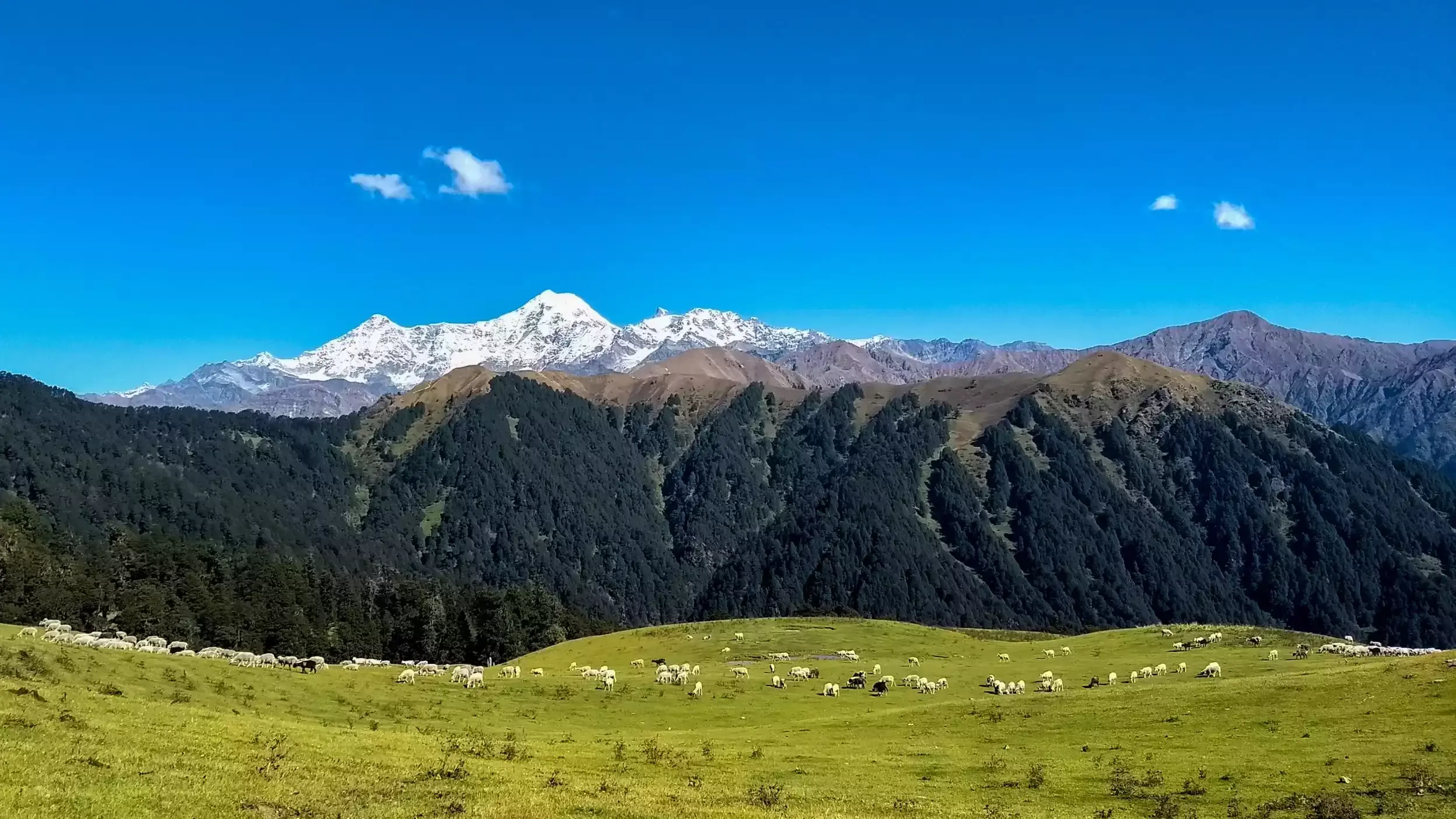 Dayara Bugyal Trek