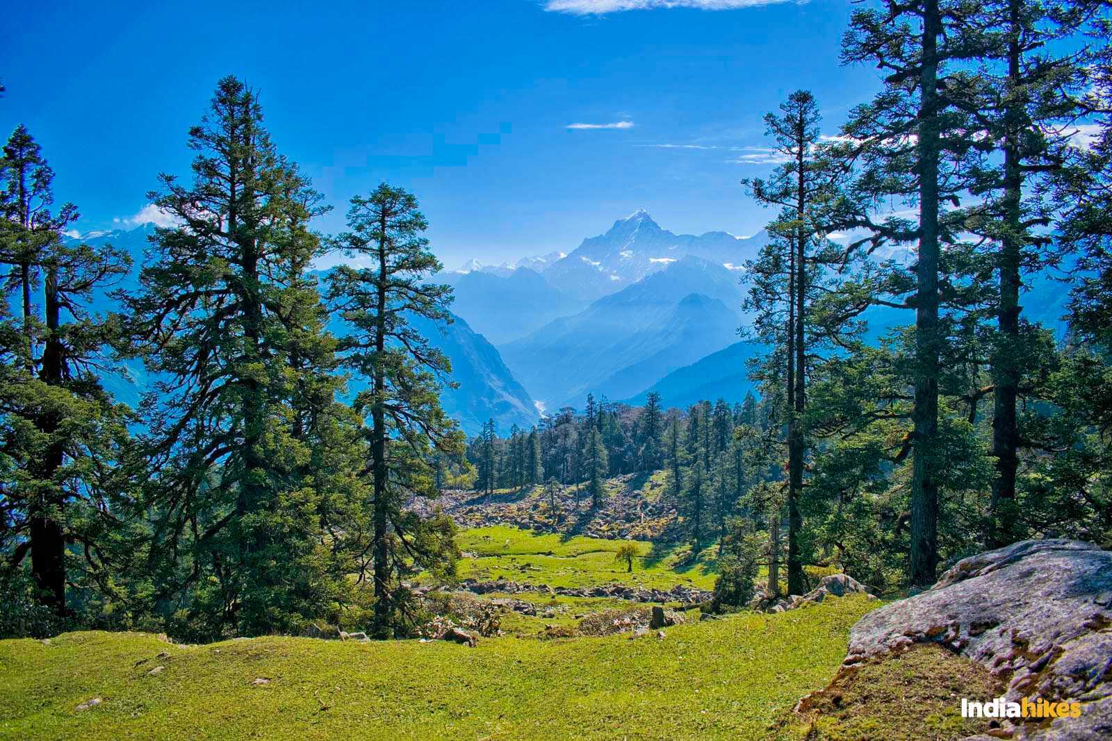 Kuari Pass Trek