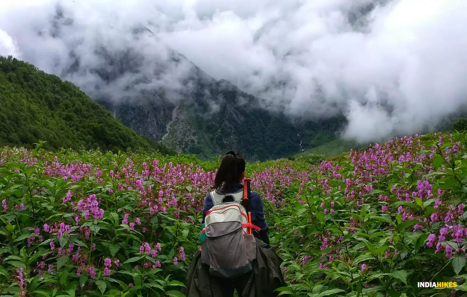 Valley of Flowers Trek